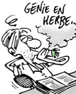 illustration herbe