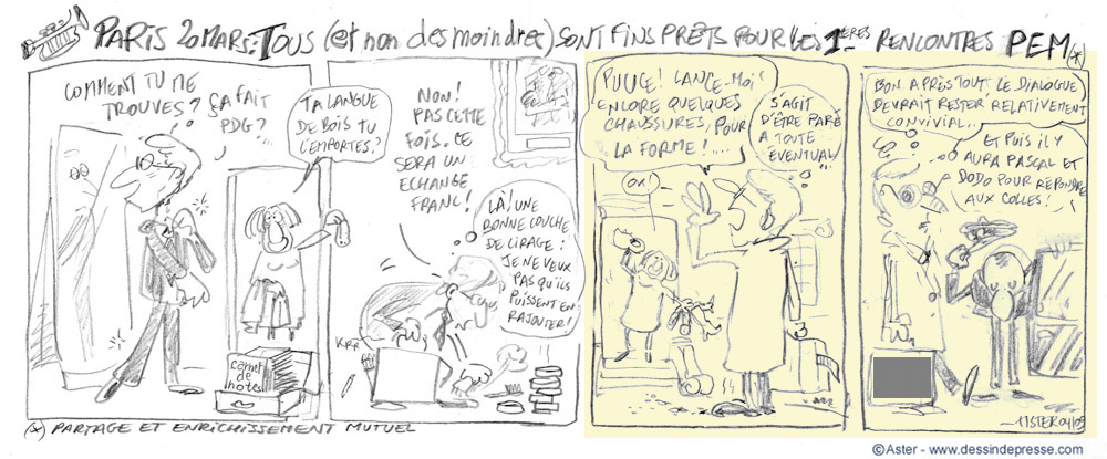 projet_strip200904-reunion_pdg